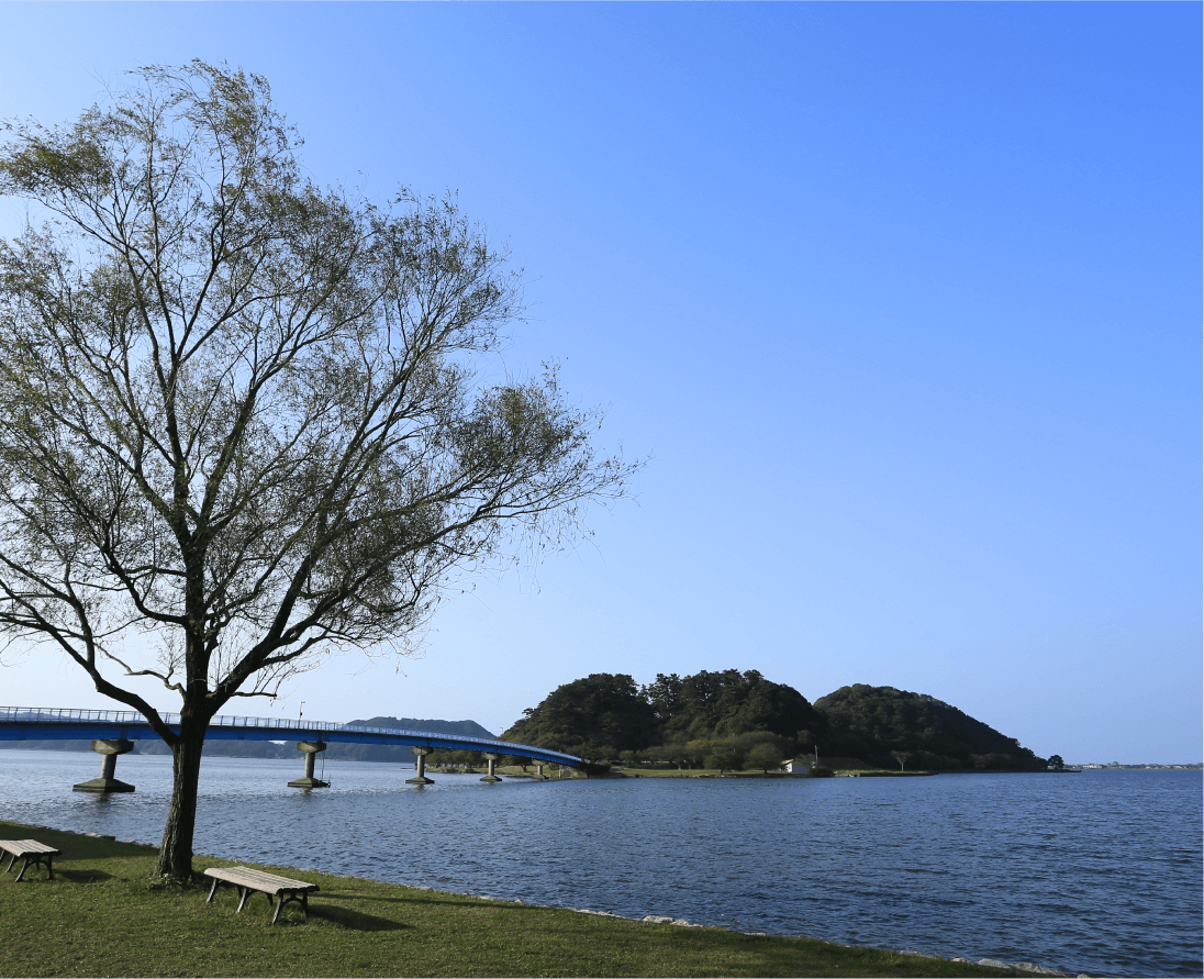 湖山池・青島の写真